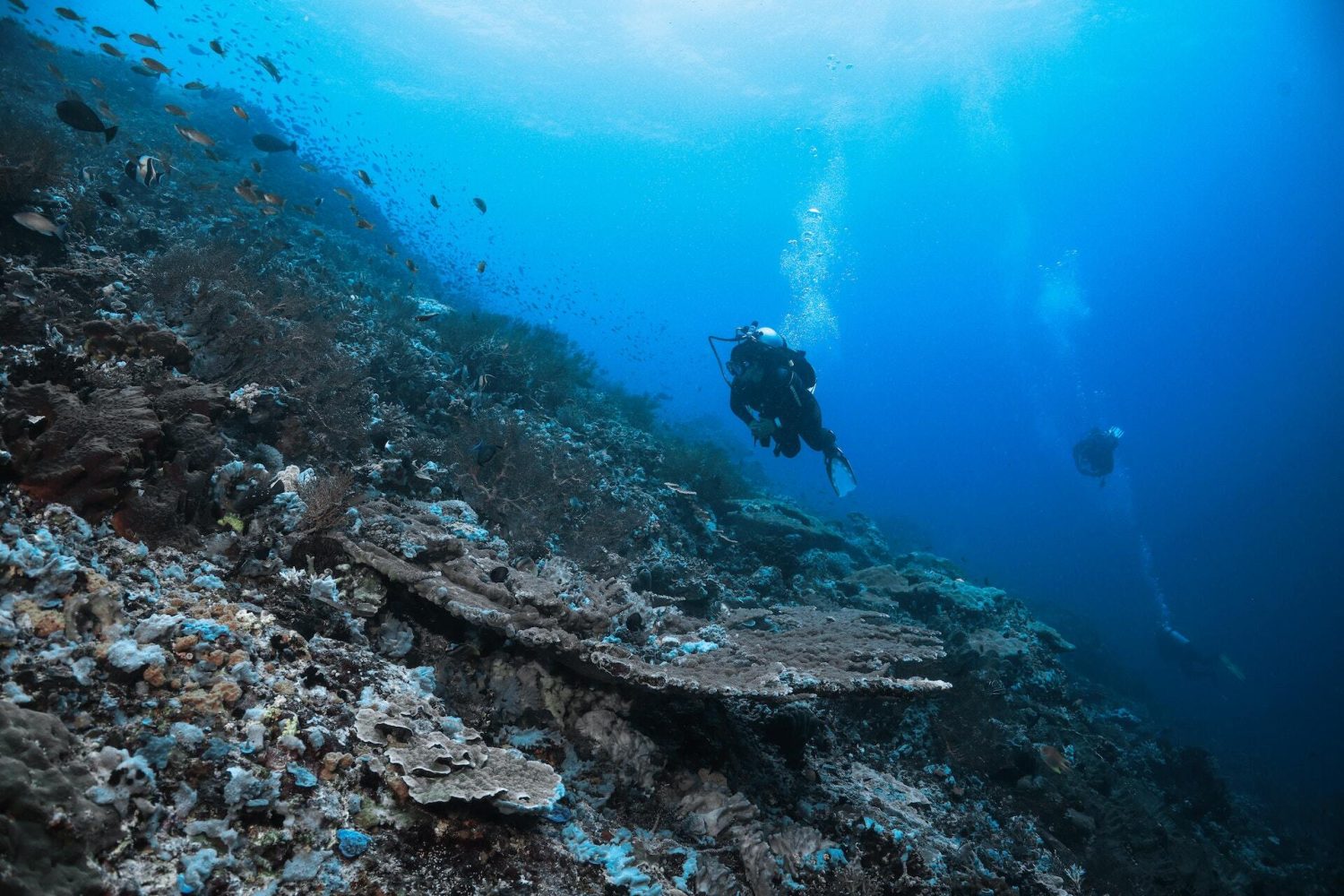 Opportunities for Startups in the Blue Economy Space