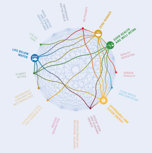 Sustainable Development Goals interplay