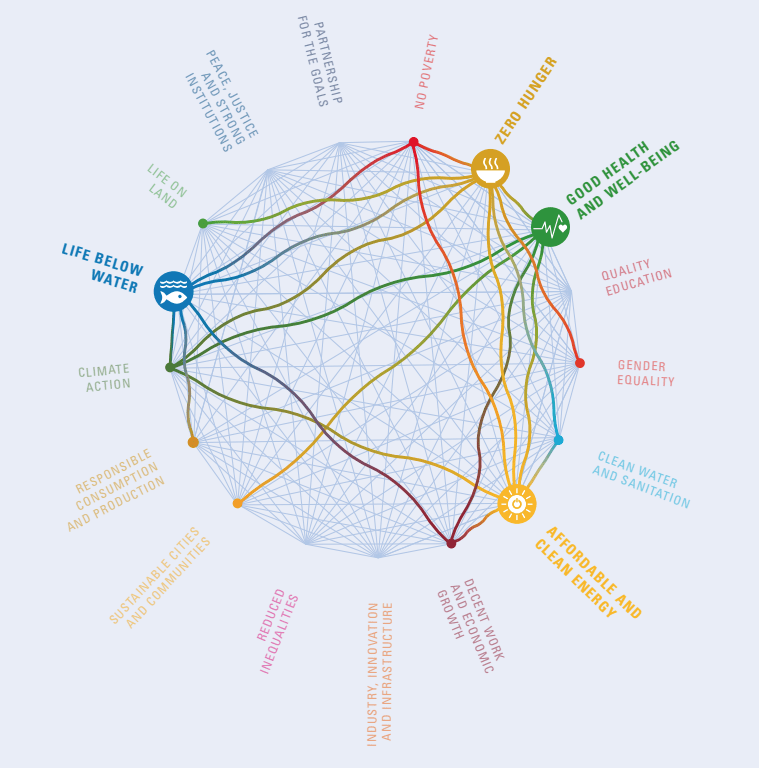 Sustainable Development Goals interplay