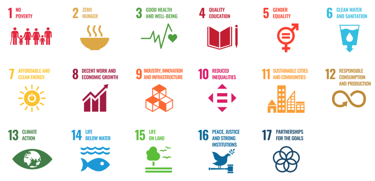Supporting the Sustainable Development Goals in 2021
