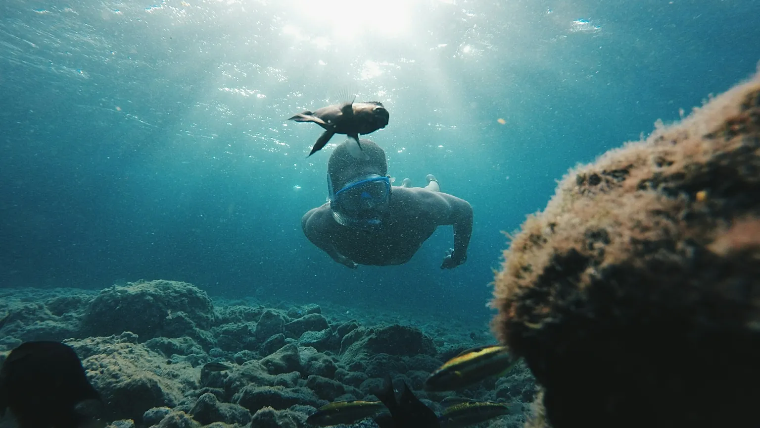 Canary Islands' New Voluntary Tourist Tax Will Fund Local Sustainability Projects