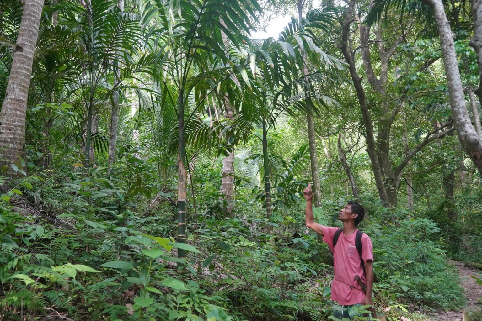 Elders, Conservationists Race to Record Fading Sacred Ties to Philippines’ Endemic Birds