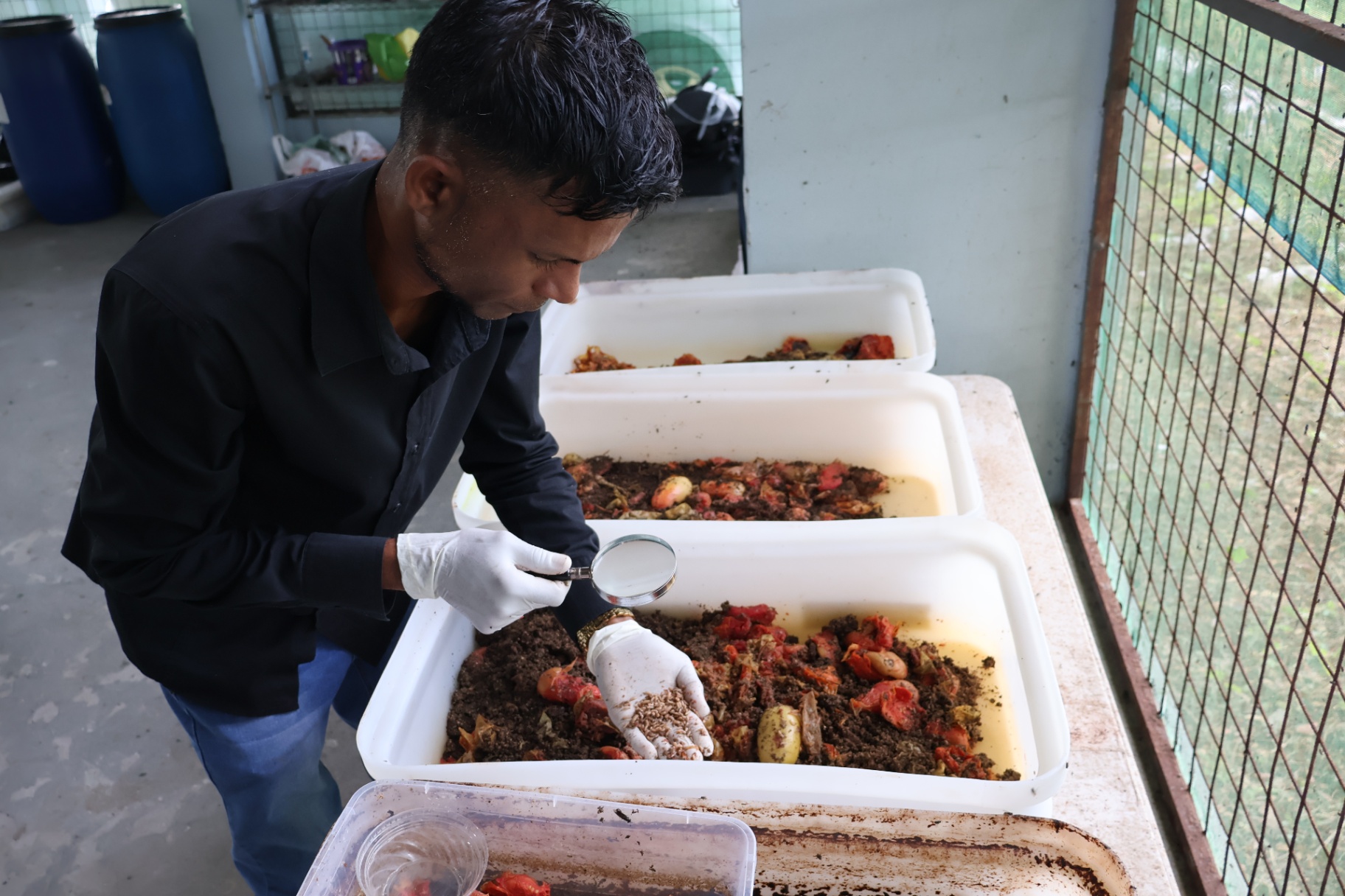 From Maggots to Solutions: A Young Scientist Turning Waste Into Opportunity in the Caribbean