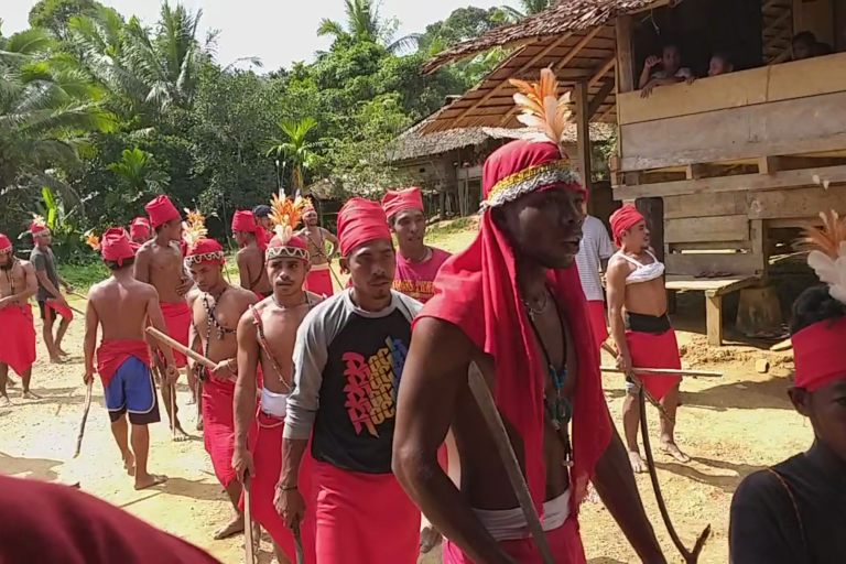 On an Indonesian Island, an Ancient Ritual Evolves to Protect an Endangered Cockatoo