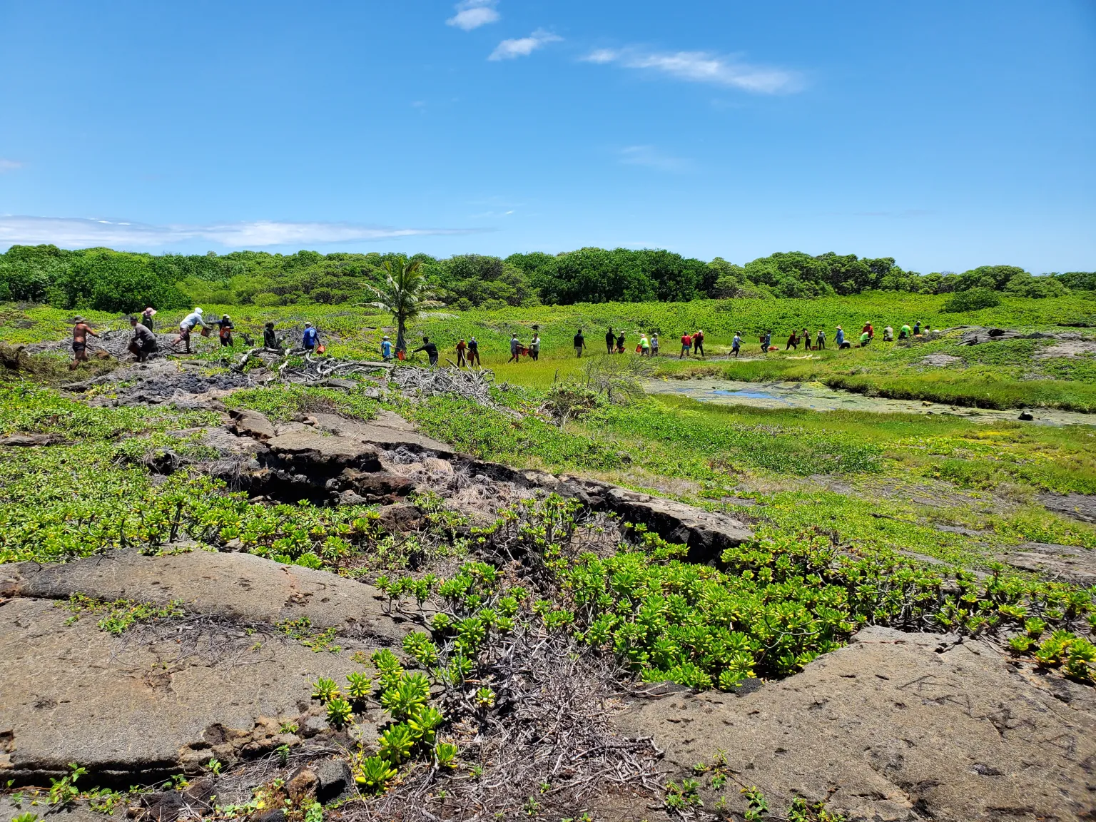 The Big Island’s Communities Mobilise To Protect Vanishing Coastal Pools