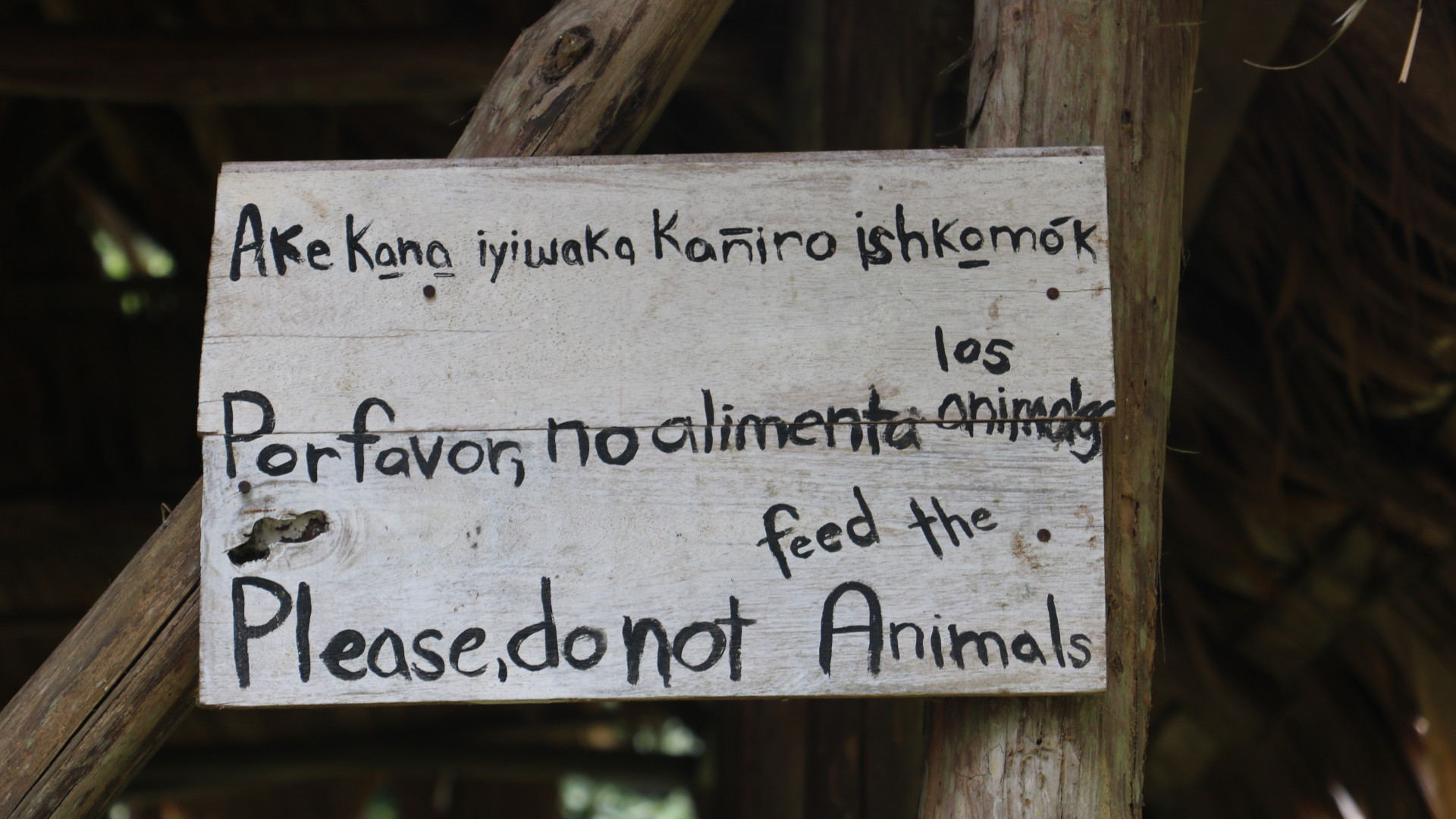 The Extinction of Languages Is an Environmental Issue